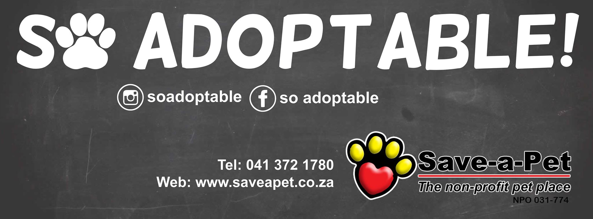 So Adoptable contact details